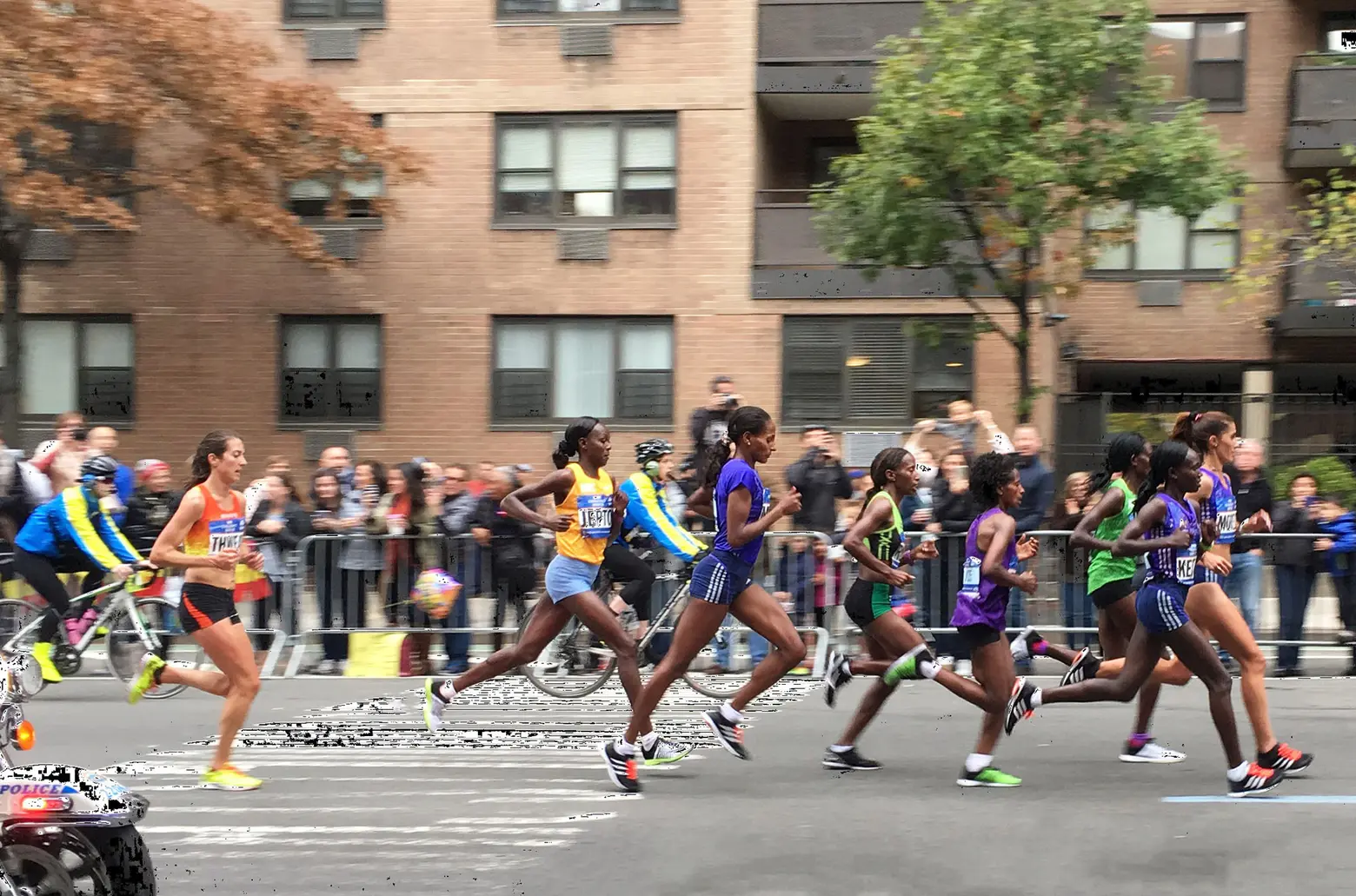 The NYC Marathon returns this November at 60% capacity