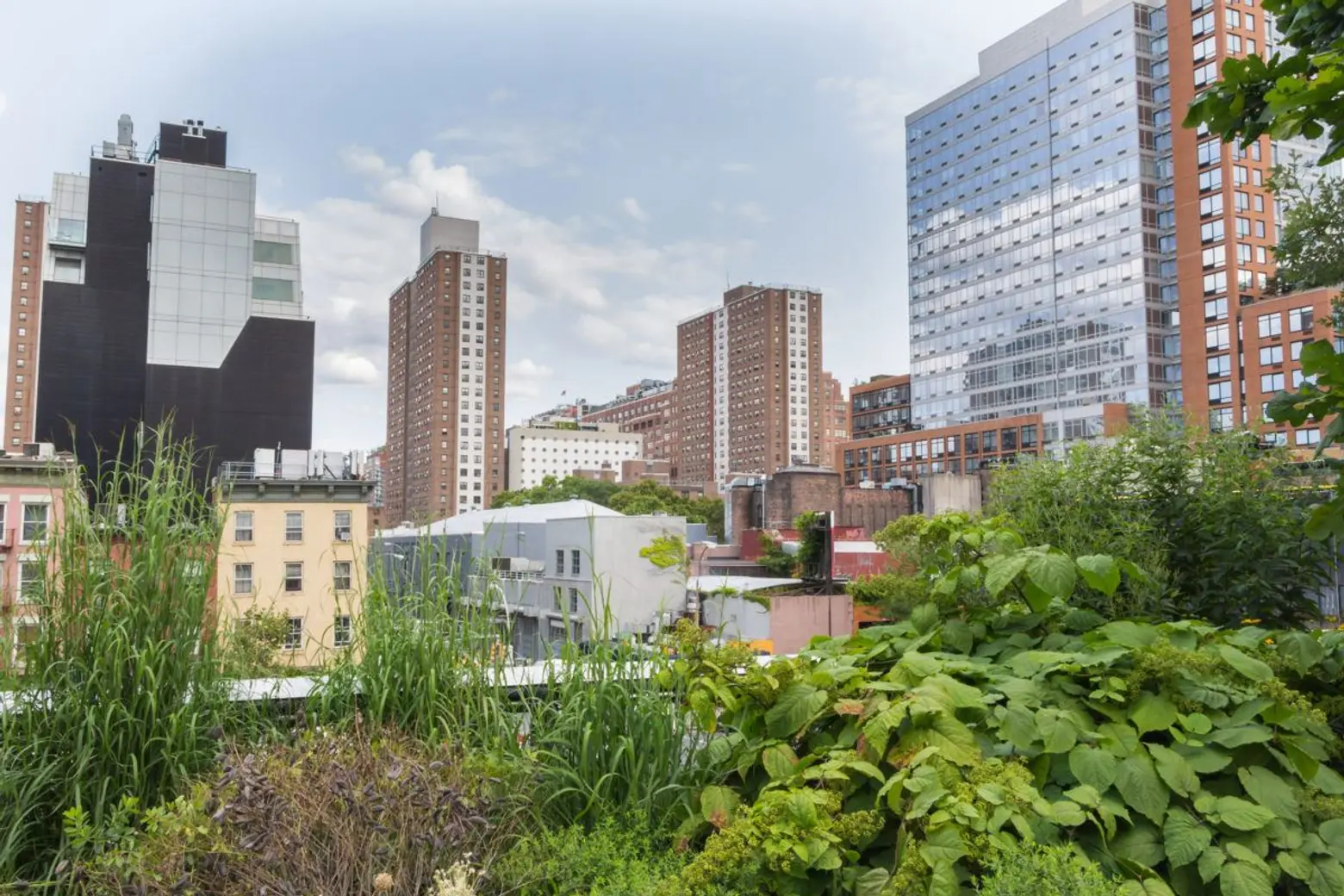 NYC establishes a digital hub for urban agriculture