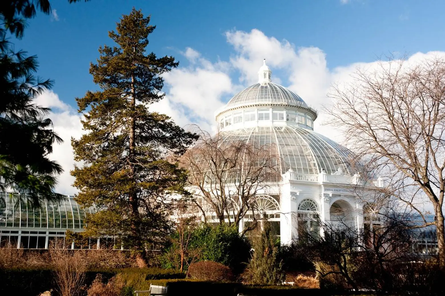 Five chances to live near the New York Botanical Garden from $1,450/month