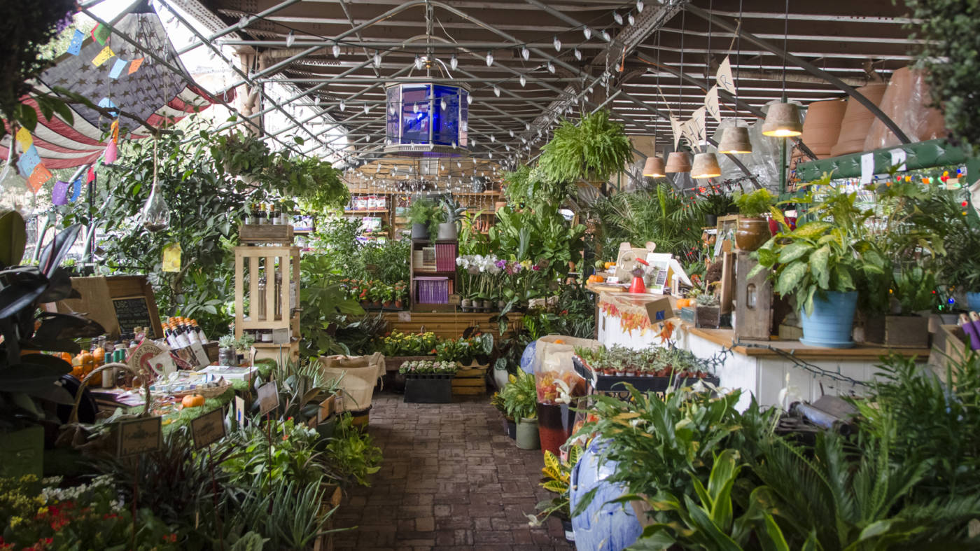 The 10 Best Plant Shops In NYC | 6sqft