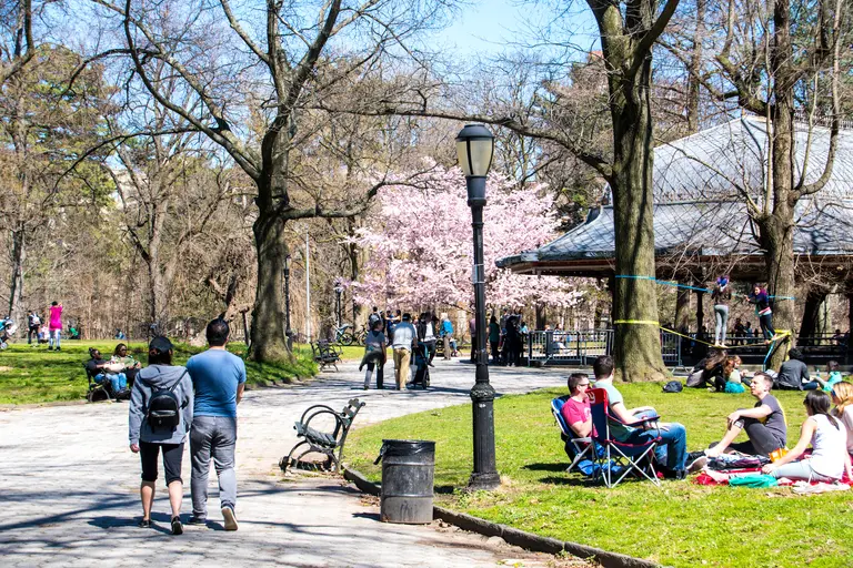 Discover Prospect Park through these interactive, guided tours