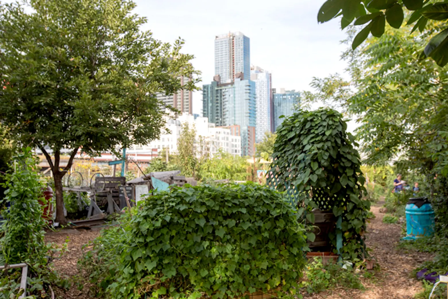 Grow a green thumb this weekend with free activities at over 70 of NYC’s community gardens