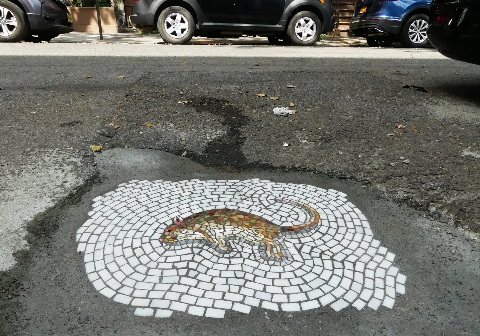 Jim Bachor, pothole mosaic, NYC potholes, Vermin of New York