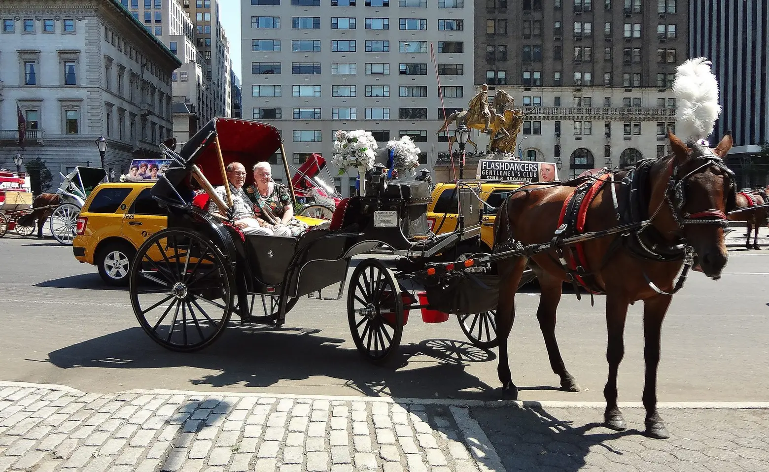 Central Park’s horse-drawn carriages are getting ‘designated boarding areas’