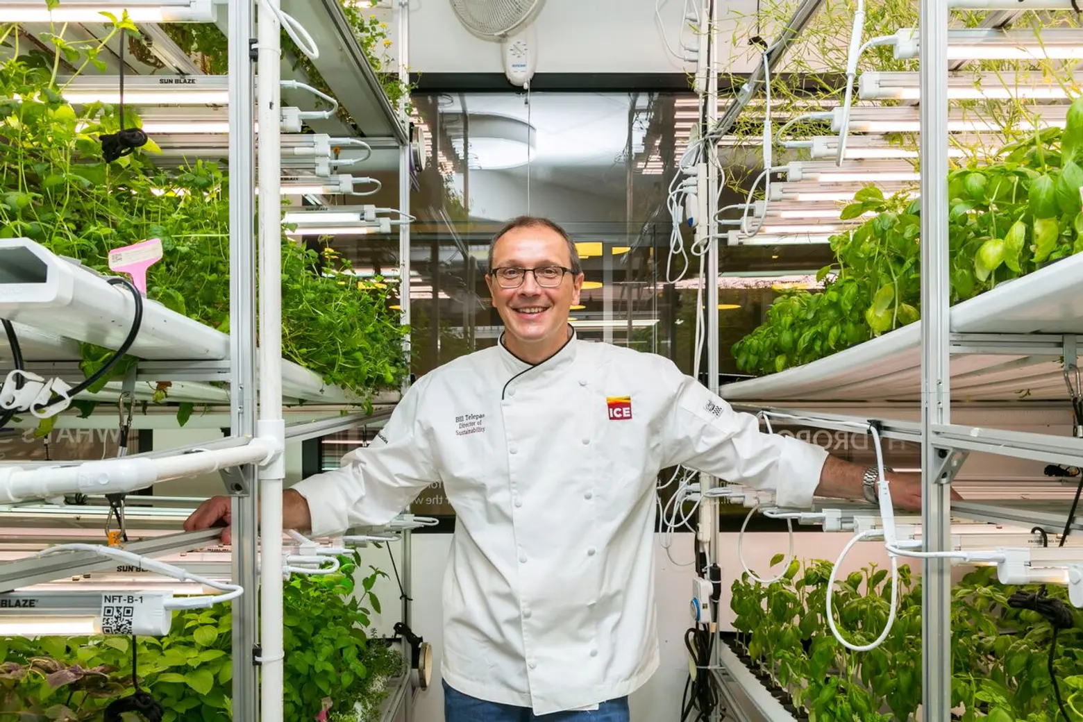 Where I Work: Chef Bill Telepan takes us inside a ‘farm-to-classroom’ hydroponic garden