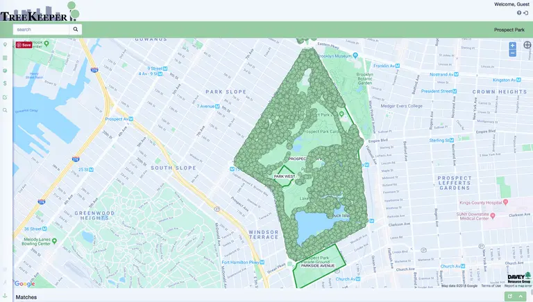 Interactive map lets you explore Prospect Park’s 200 tree species