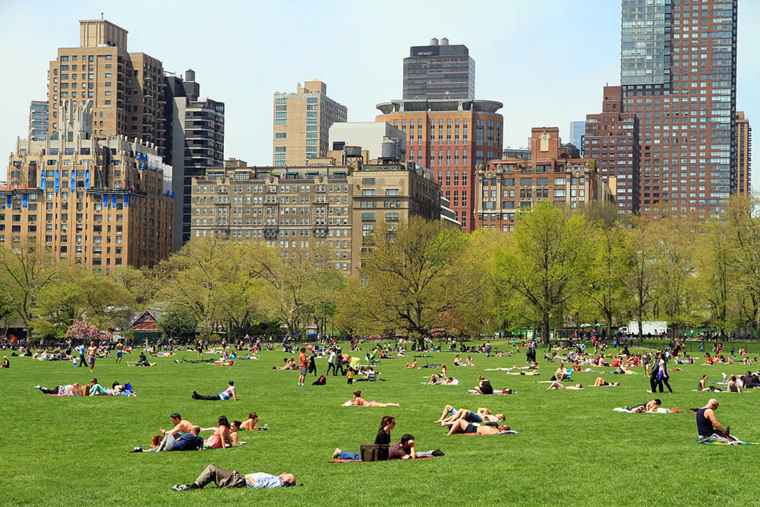 To live across from Central Park, you’ll pay 25% more than every bordering neighborhood