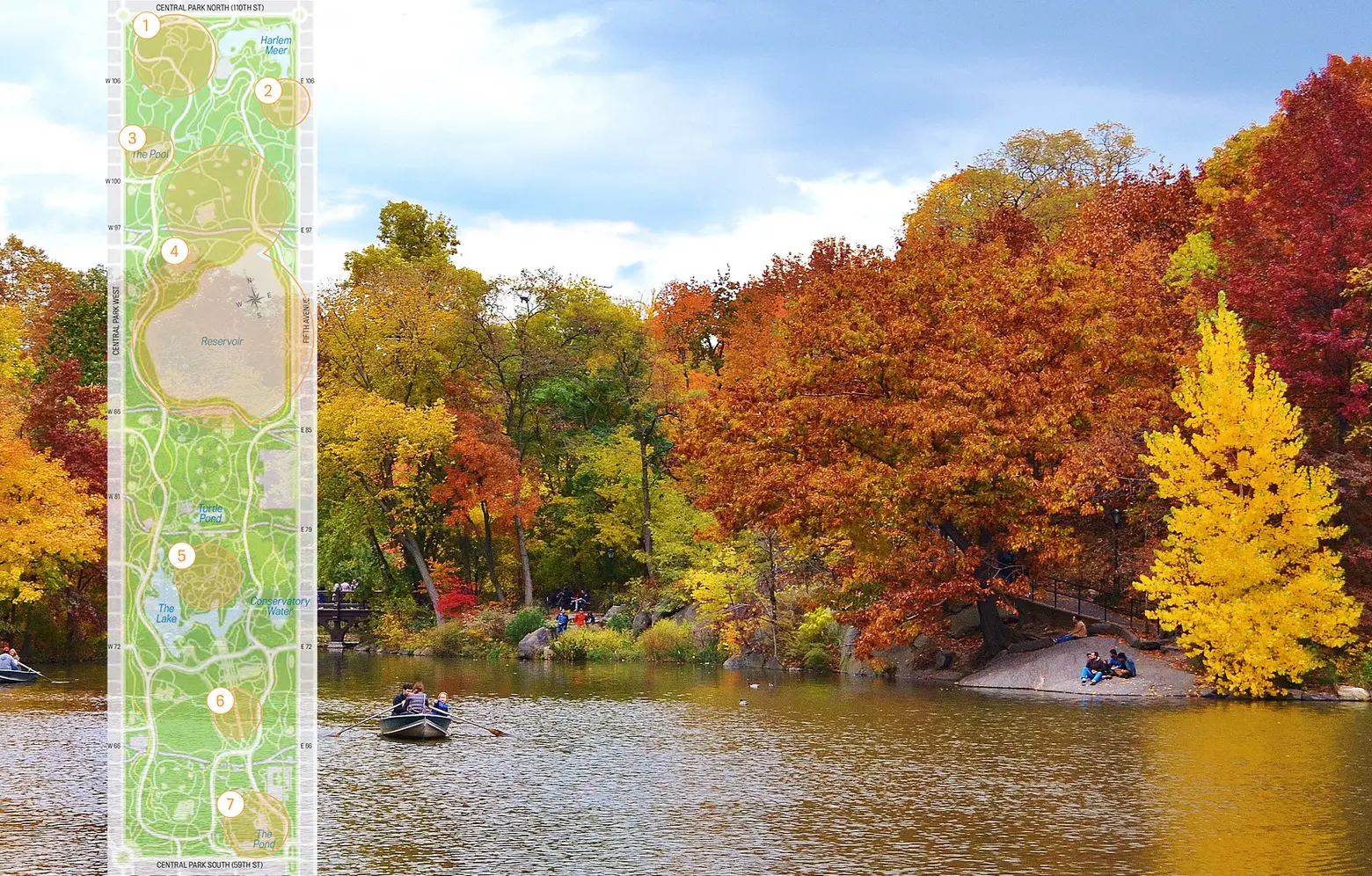 Where to find fall foliage in Central Park
