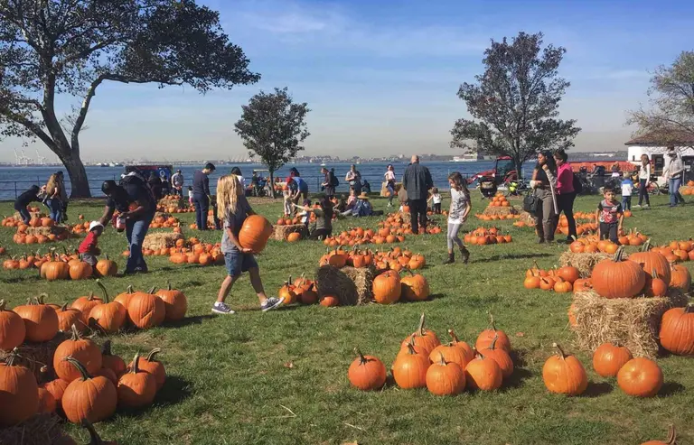 Go pumpkin picking and trick-or-treating on Governors Island