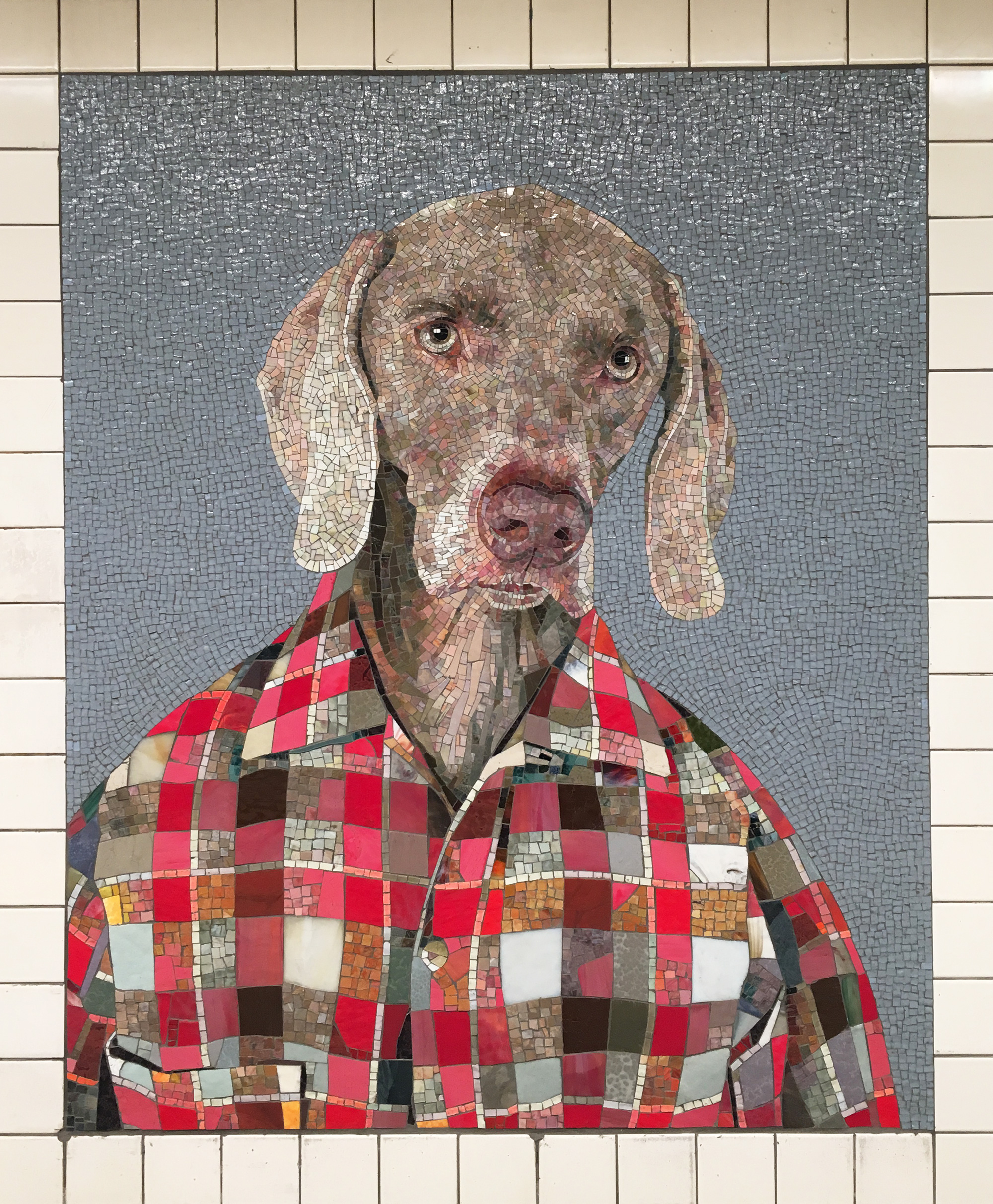 William sales wagner weimaraner