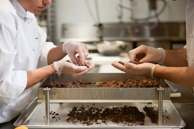 VIDEO: See how bean-to-bar chocolate gets made at the Institute of Culinary Education