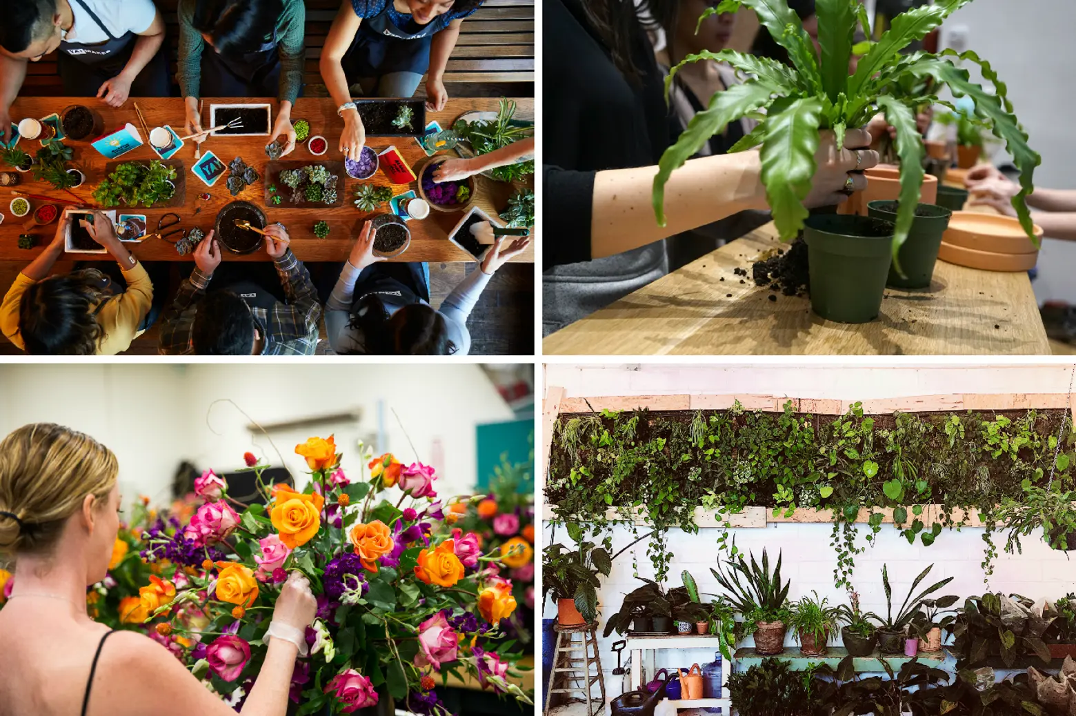 The 10 best spots for plant classes in NYC