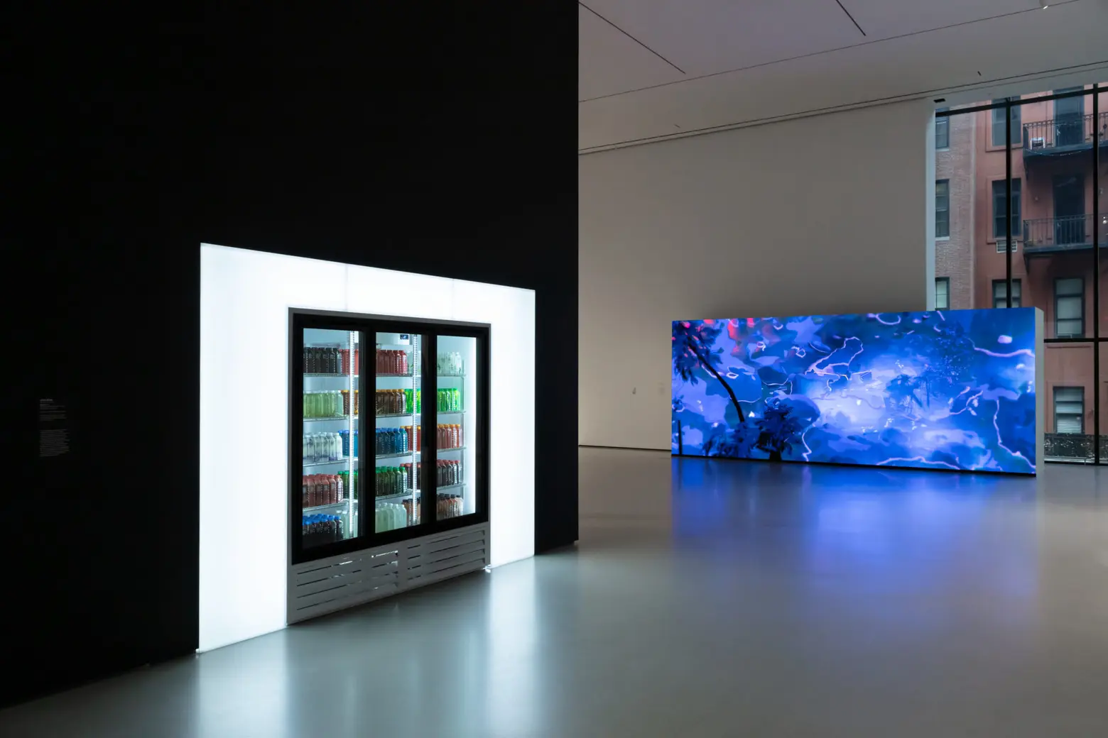 Moma, spring art guide, New Order: Art and Technology in the 21st Century