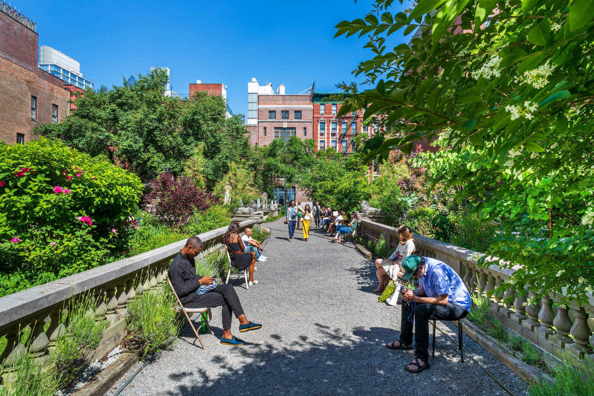 Celebrities join last-minute efforts to save Elizabeth Street Garden