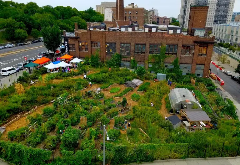 Two new gardens in Queens will provide a space for immigrant communities to grow