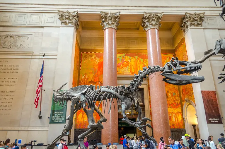 8 things you may not know about the American Museum of Natural History
