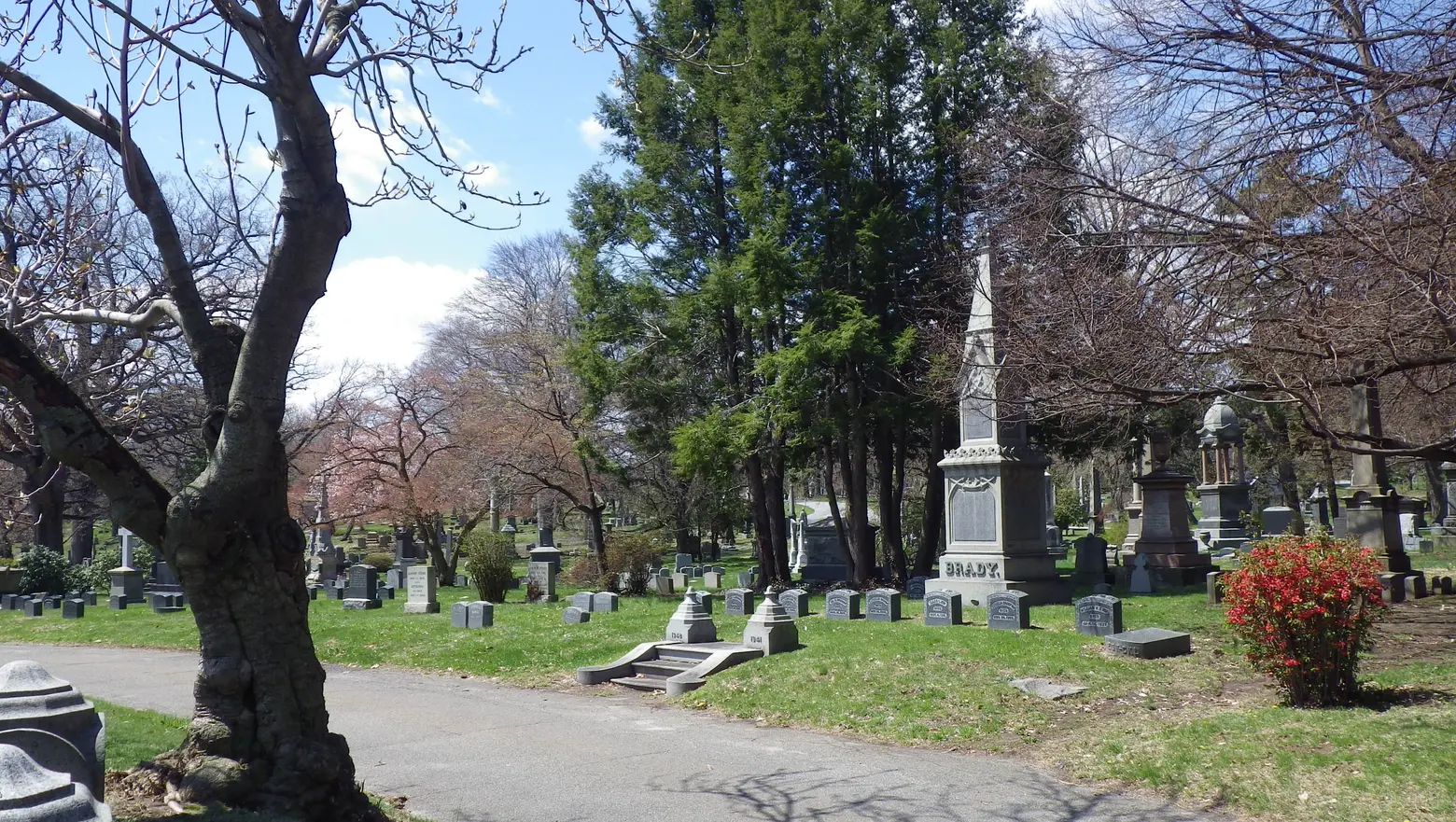 woodlawn cemetery, cemetery, nyc