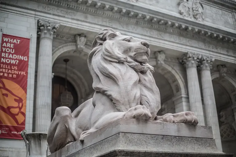 Iconic New York Public Library lions to get a laser cleaning as part of conservation effort