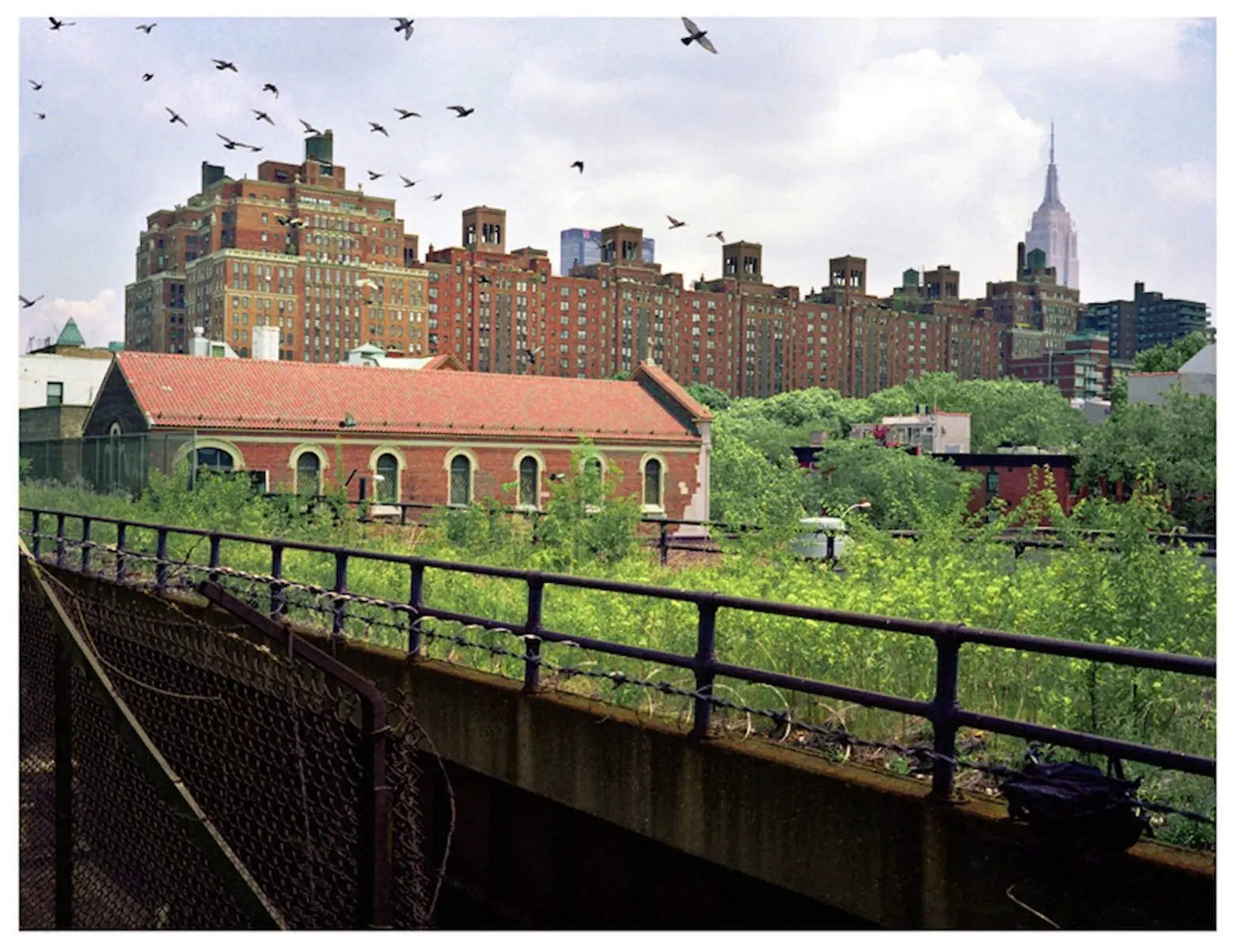 PHOTOS: See an abandoned High Line before its days as a public park