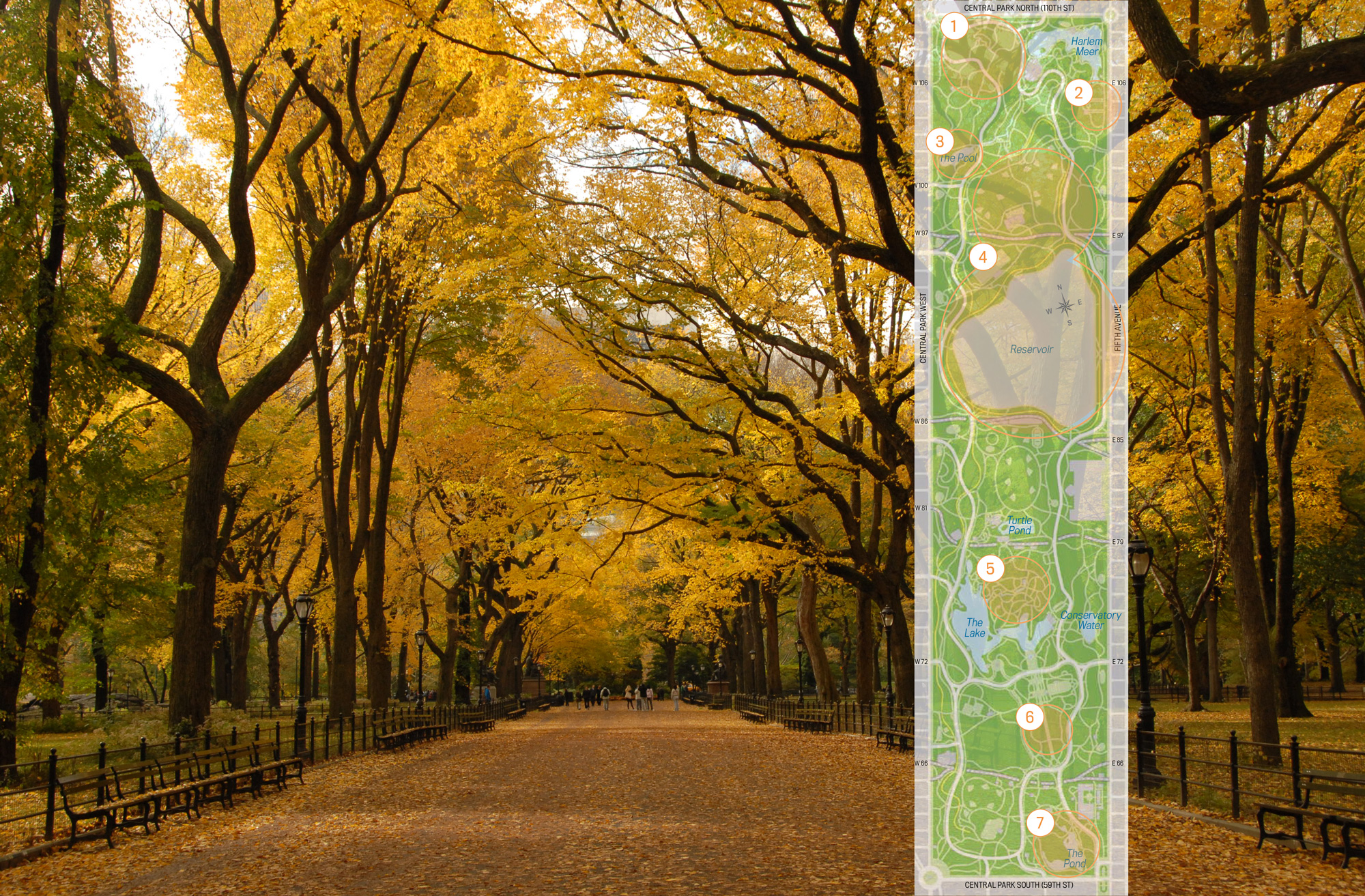 The Best Places In Central Park To See Fall Foliage | 6sqft