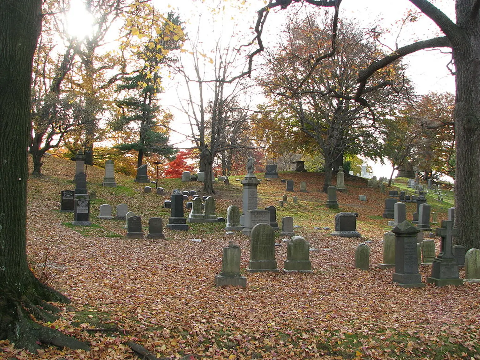 events, halloween, green-wood cemetery