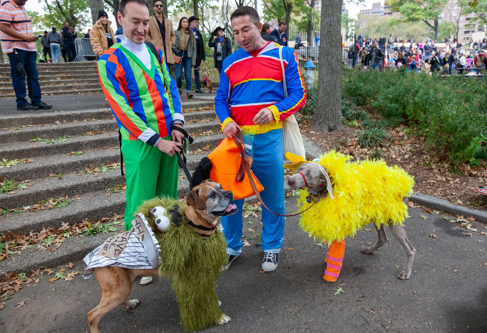 Tompkins Square Park, Halloween Dog Parade, NYC Halloween