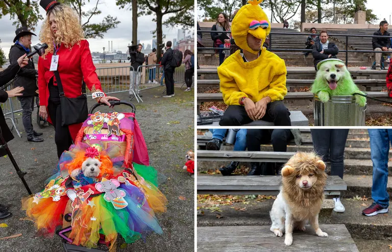 PHOTOS: See the best costumes from this year’s Tompkins Square Park Halloween Dog Parade