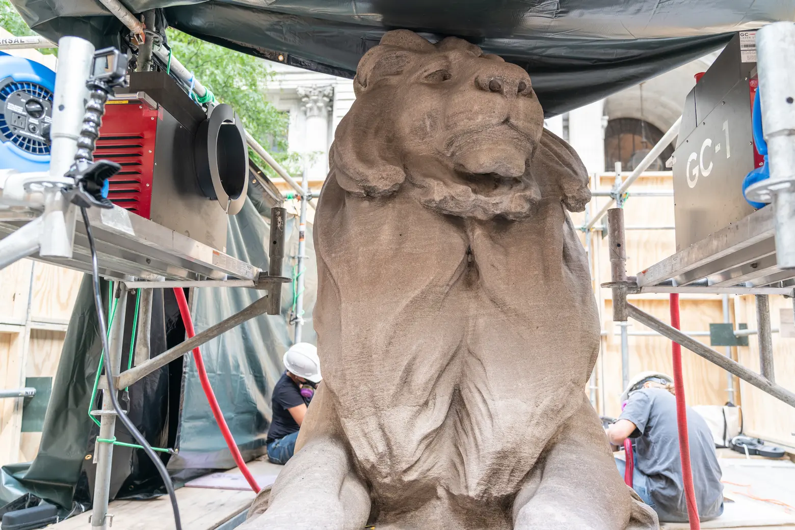 New York Public Library, Library Lions, Restoration, Patience, Fortitude