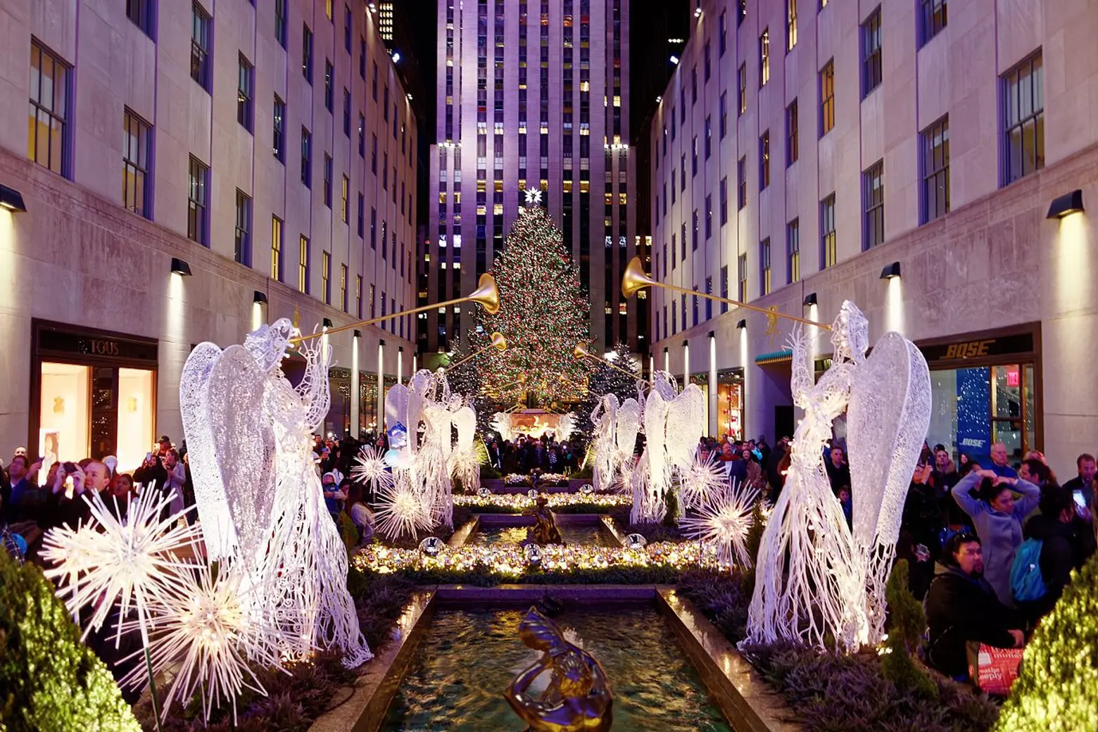 New York Christmas Tree Lightings