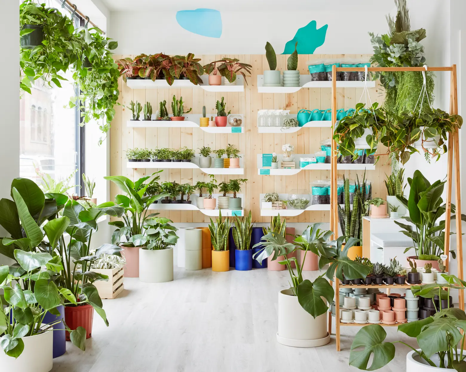 The Sill, Cobble Hill, NYC plant shops