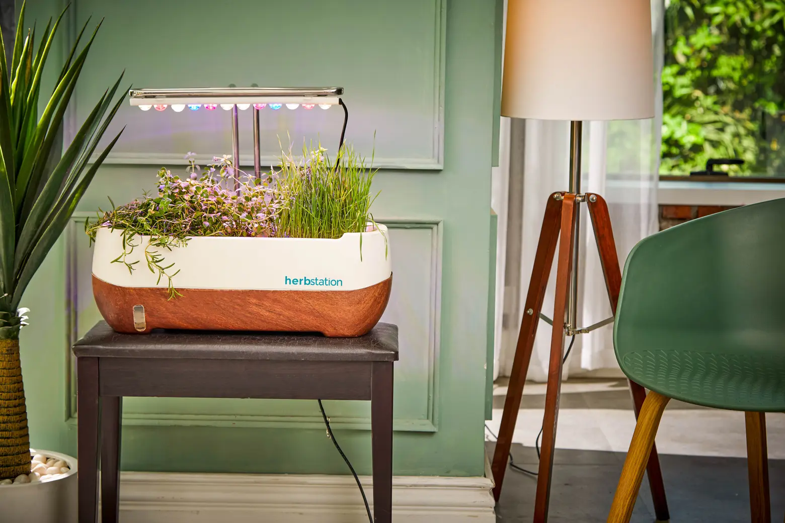 13 simple ways to green your apartment
