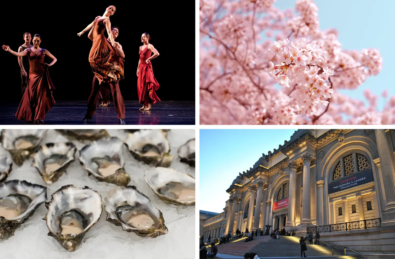 12 virtual things to do this week: Met Gala, cherry blossoms, oysters, and more
