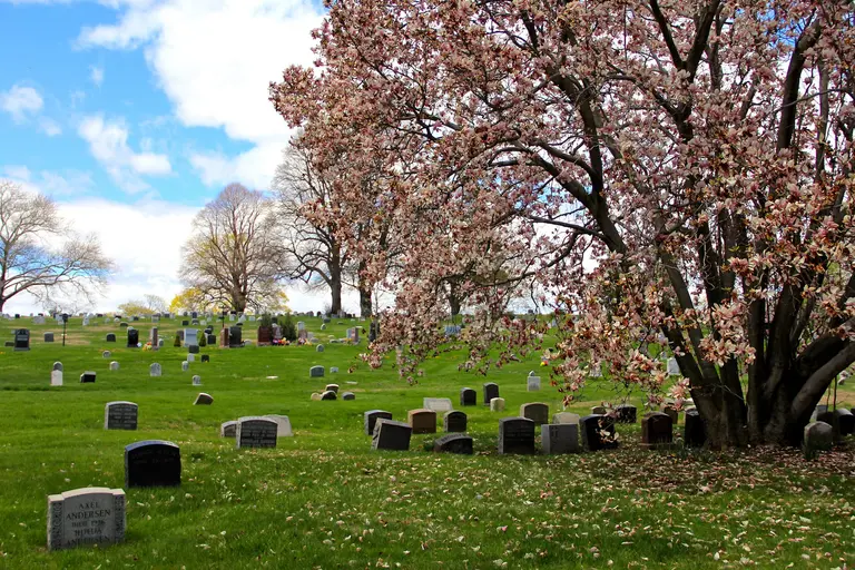 Rule-breaking crowds could force Green-Wood Cemetery to close to public