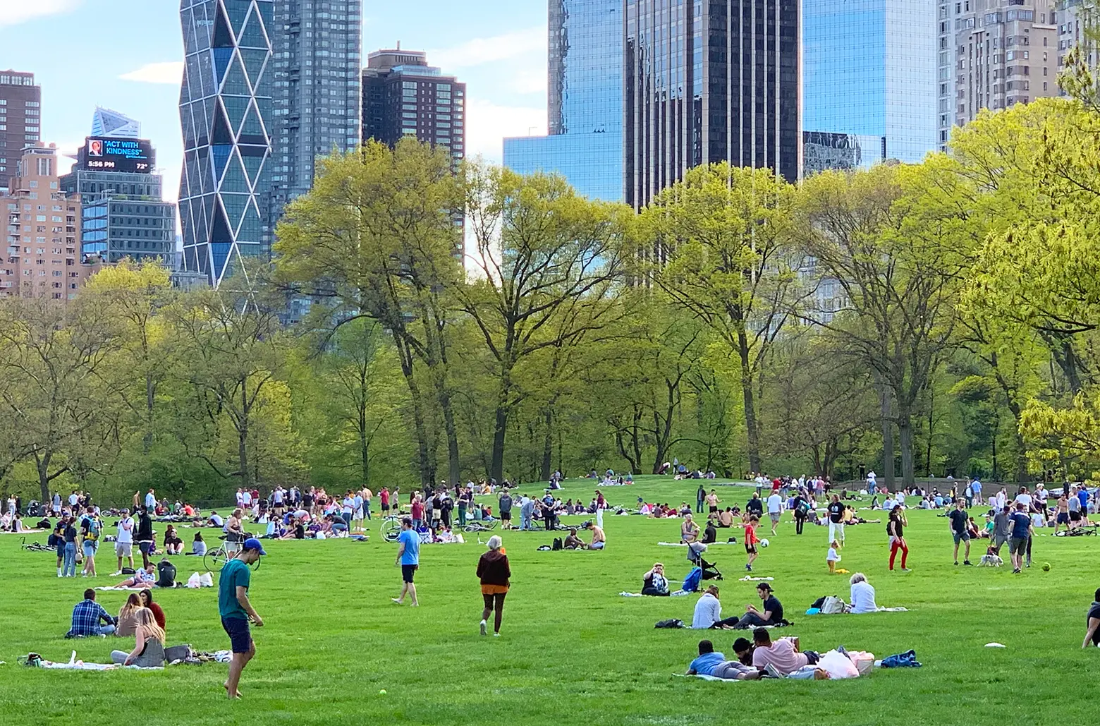 sheep meadow, central park, social distancing parks