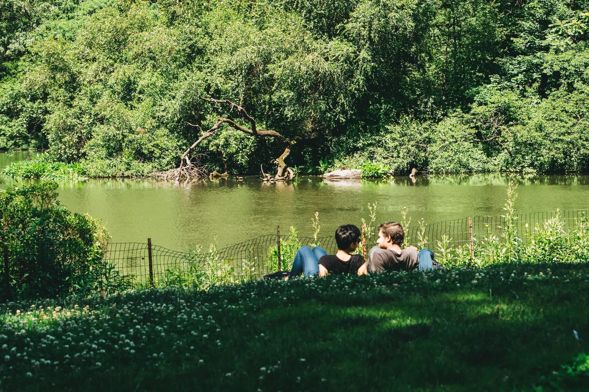 10-best-under-the-radar-picnic-spots-in-nyc-6sqft