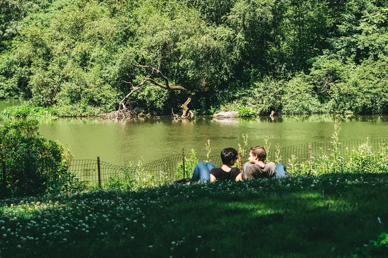 10 best under-the-radar picnic spots in NYC