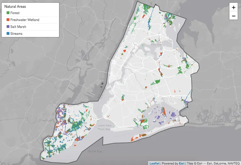 This map explores NYC’s 19,000 acres of natural park land