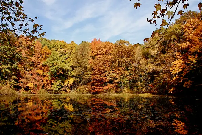 The 7 best places to see fall foliage outside NYC | 6sqft