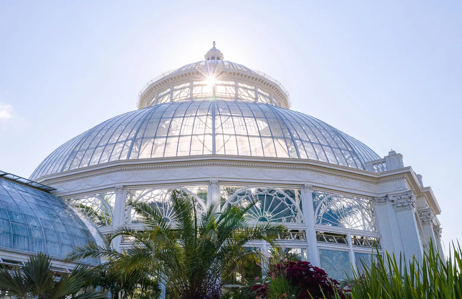 New York Botanical Garden's landmarked glass conservatory reopens after  $18M restoration