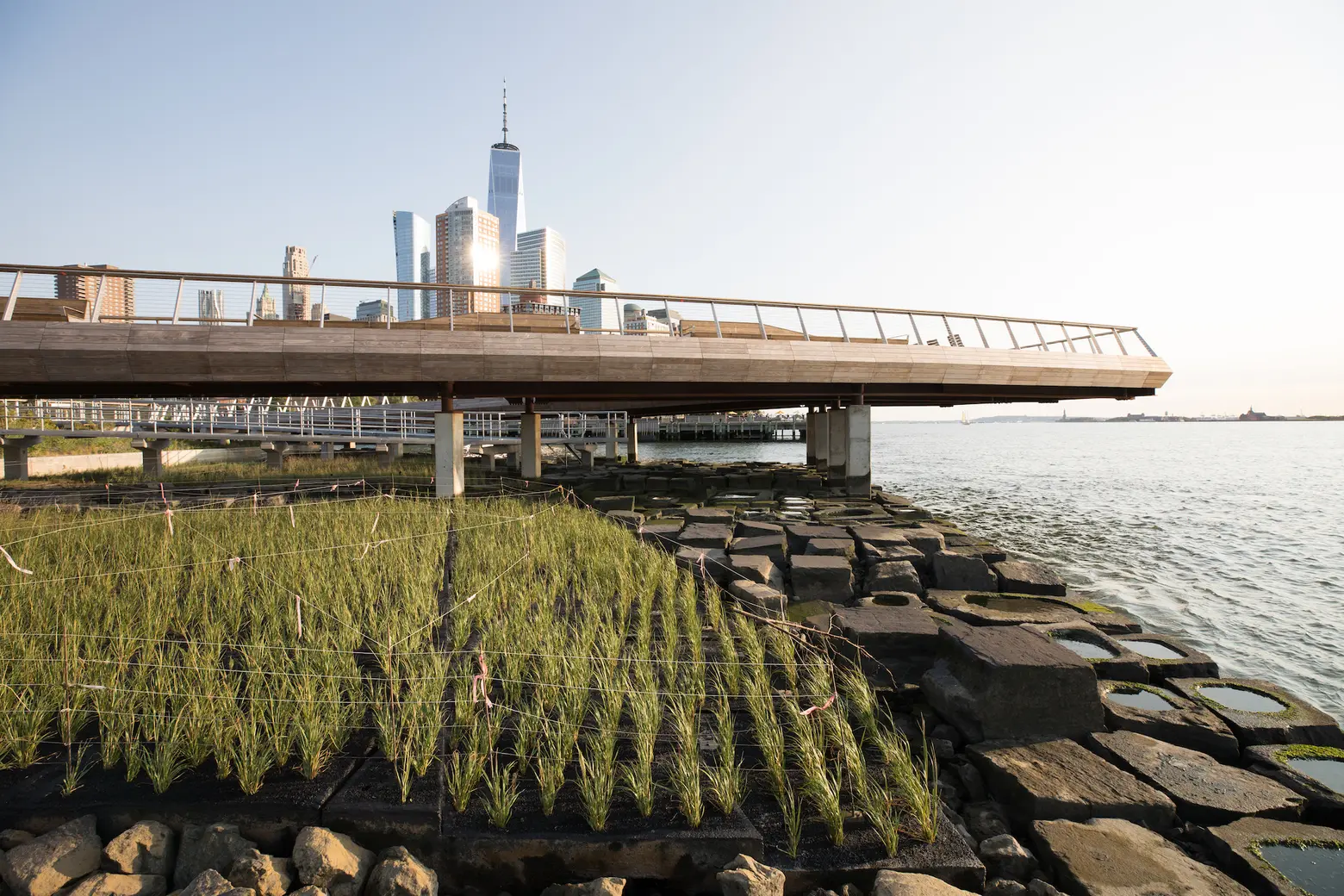 Tribeca’s eco-friendly Pier 26 opens with innovative man-made tidal marsh