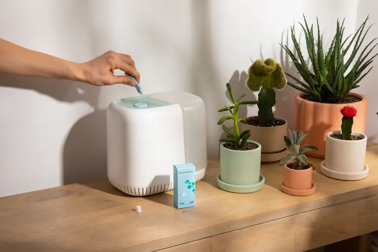 The Sill launches plant-inspired fragrances for Canopy’s popular humidifier