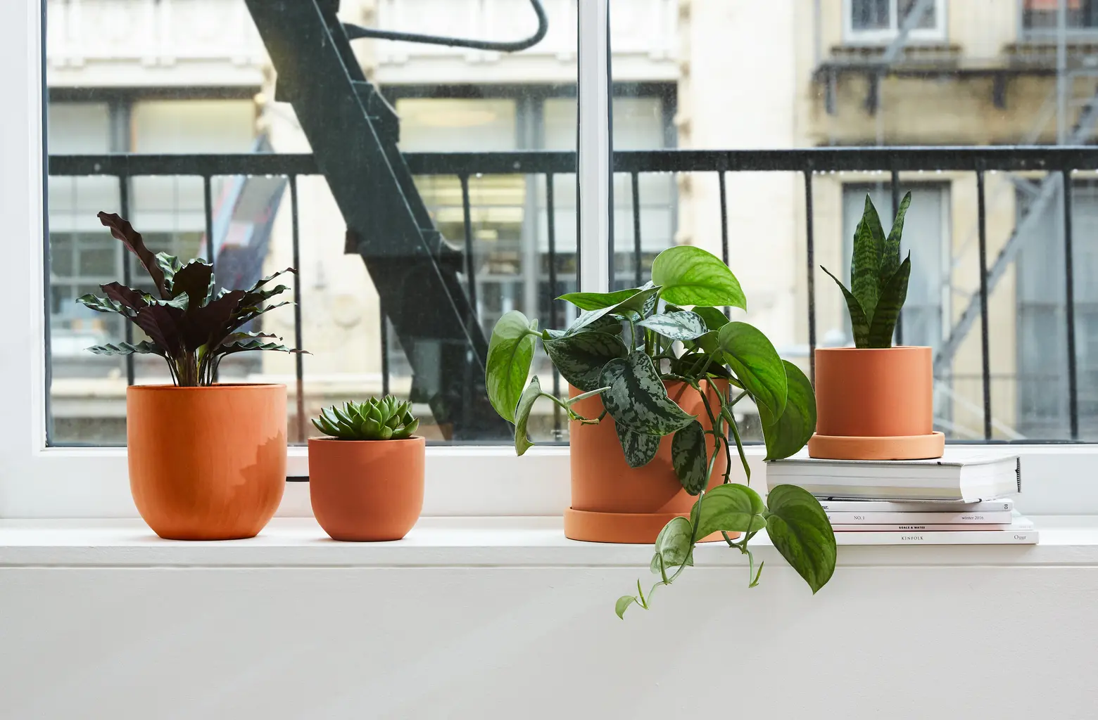 How to keep your houseplants alive while on vacation
