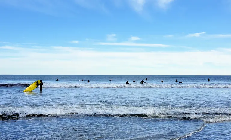 Rockaway Beach reopens after shark sightings prompted temporary closure