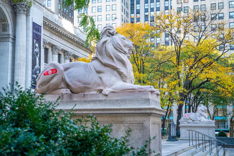 New York Public Library’s iconic marble lions show off oversized bandages to encourage vaccination