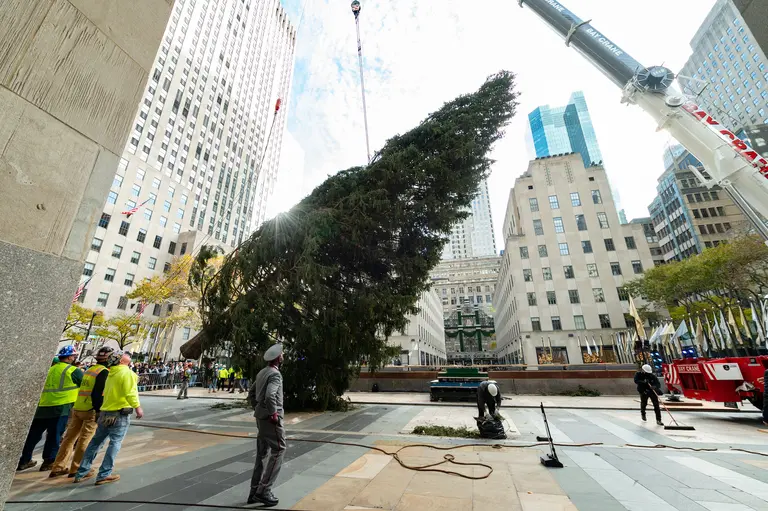 The 2021 Rockefeller Center Christmas Tree has arrived in NYC