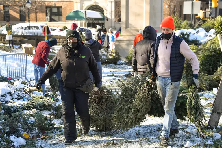 Mulchfest is back: Here’s how to recycle your Christmas tree in NYC