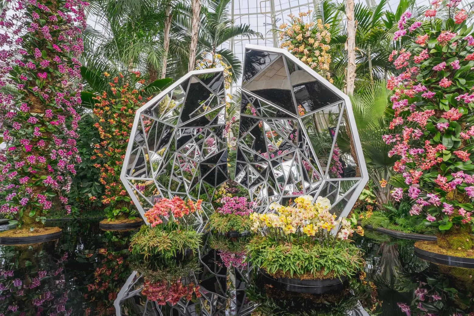 New York Botanical Gardens Hosts Winter Ball, Brooklyn Museum to Spotlight  Studio 54, and More News in New York