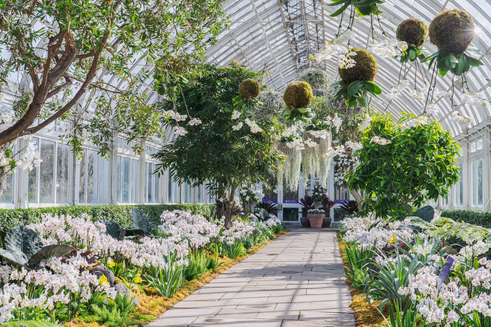 New York Botanical Gardens Hosts Winter Ball, Brooklyn Museum to Spotlight  Studio 54, and More News in New York
