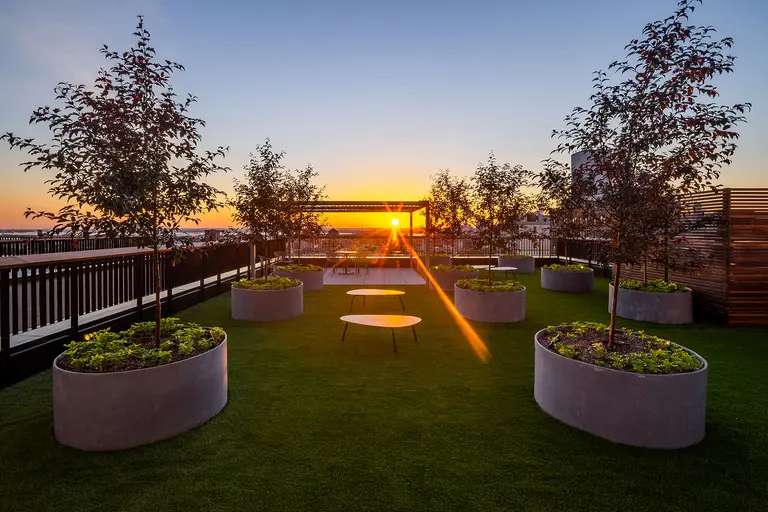 On Brooklyn’s largest private rooftop, you can pick your own apples