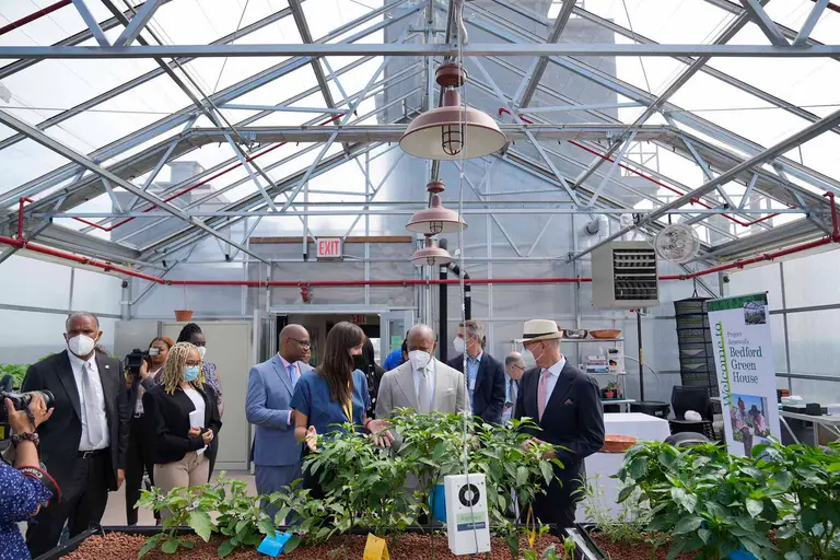 New affordable housing building in the Bronx has a rooftop greenhouse and aquaponic farm